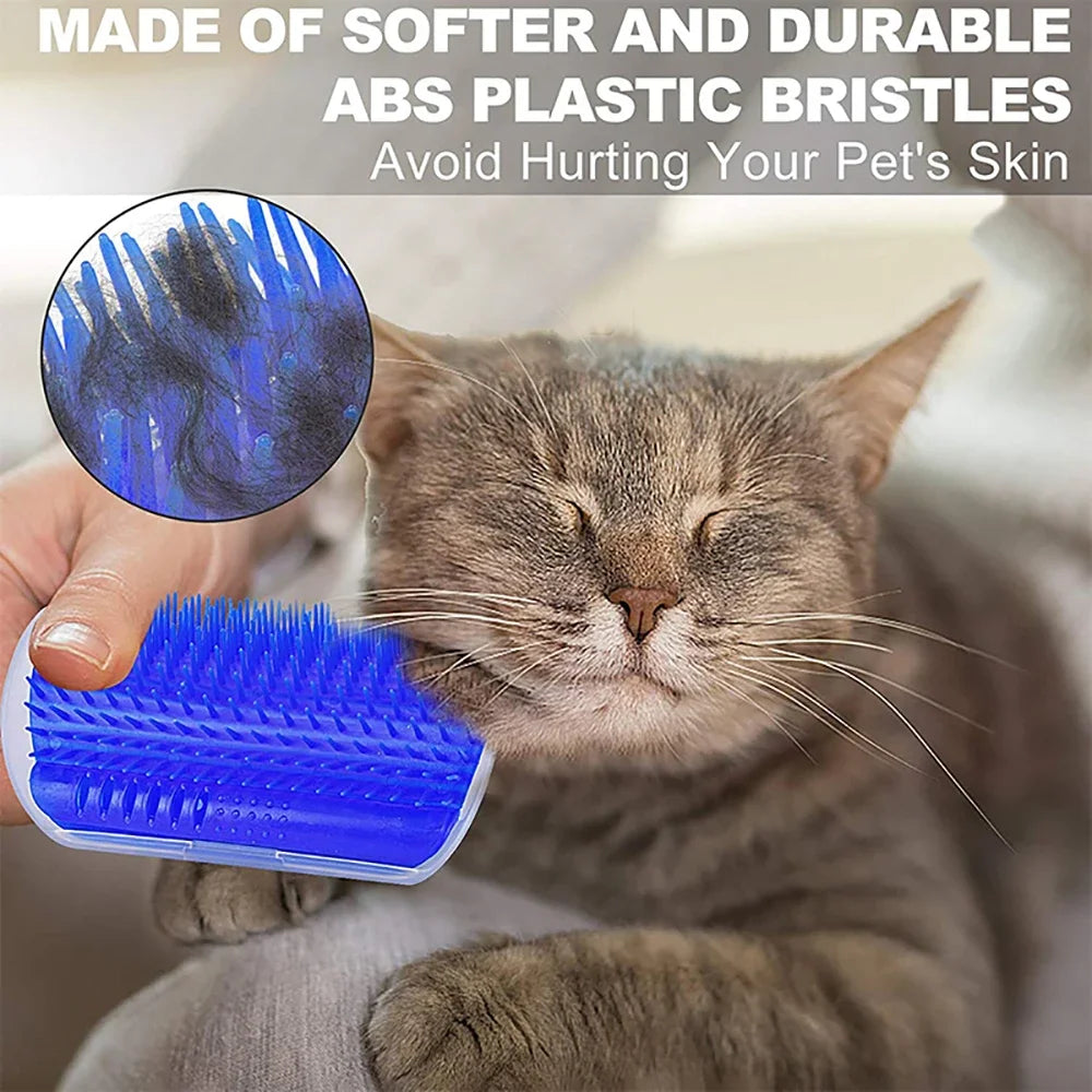 Cat Scratching Brush with Catnip