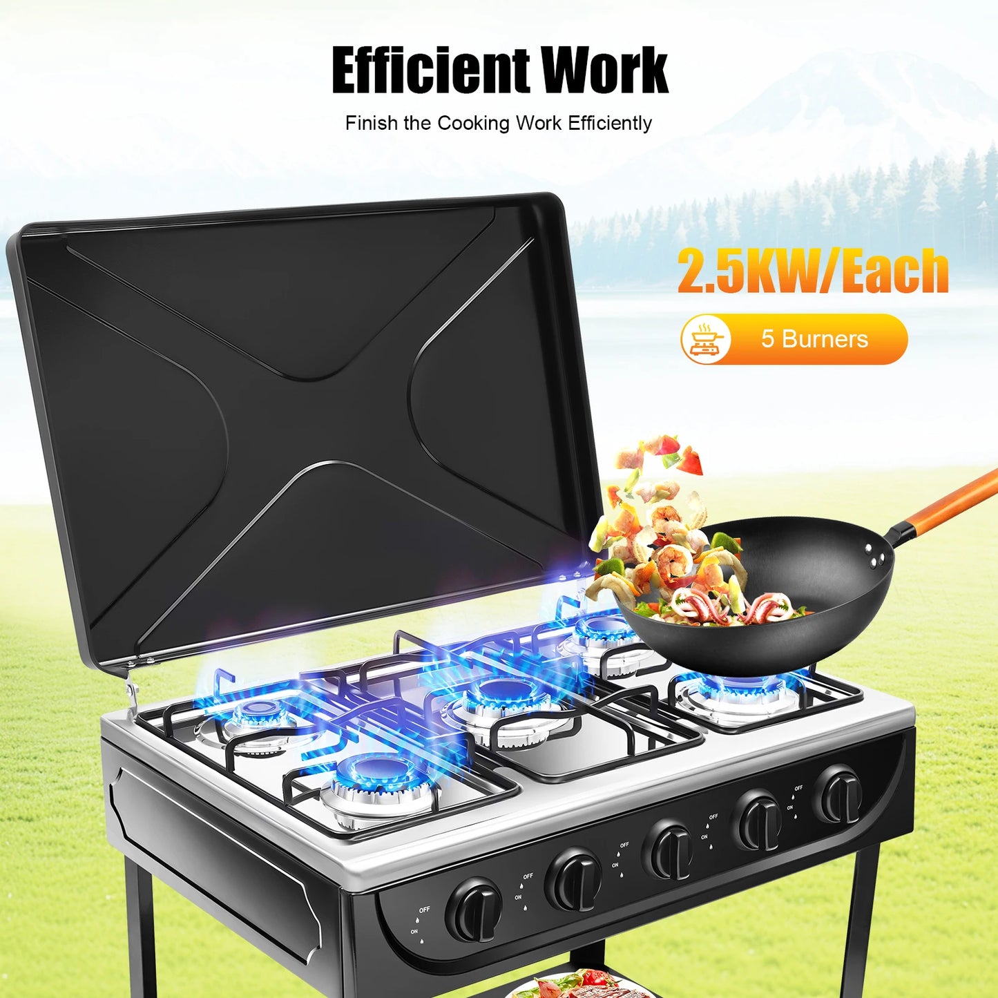Natural Gas Stove with 5 Burners