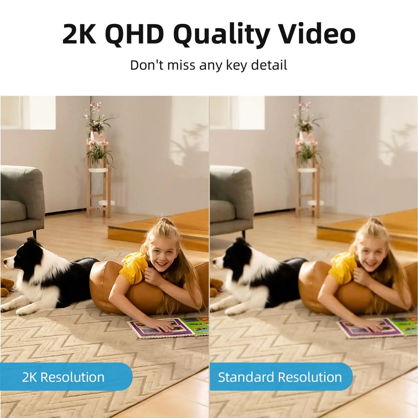 3K/5MP Floodlight Wifi Camera and 3MP Baby Monitor