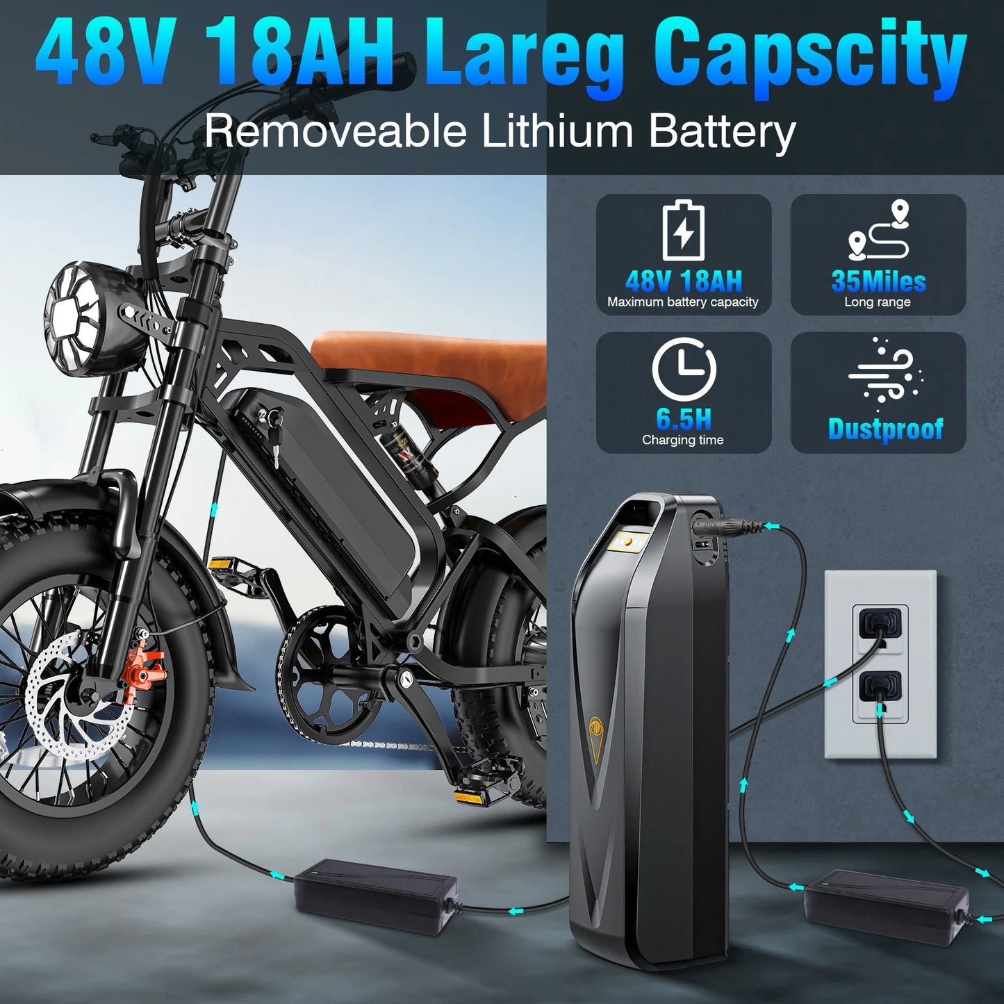 Adult Electric Bike 1000W Peak Motor