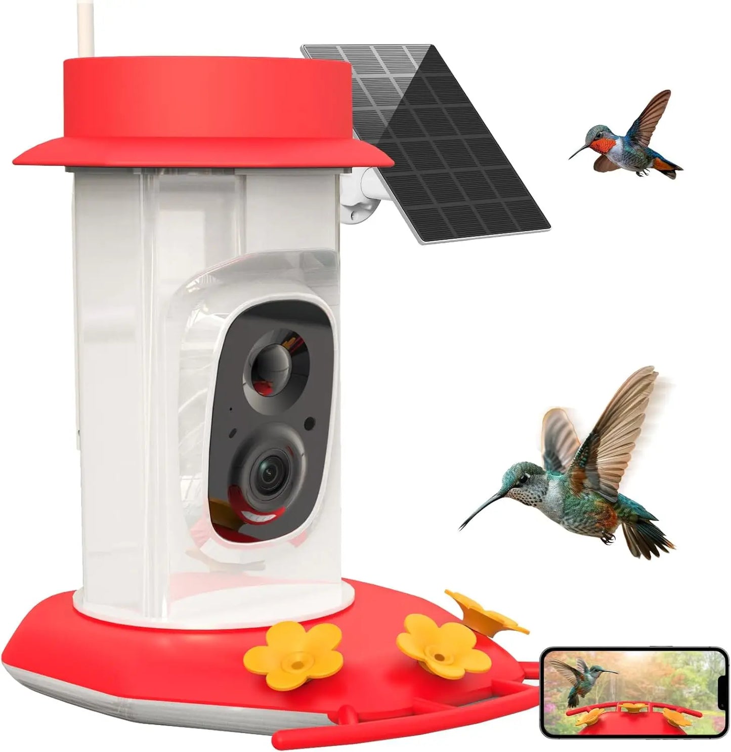 Hummingbird Feeder with Camera
