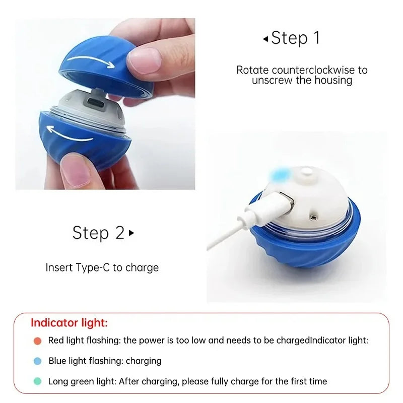 Dog Toy Ball