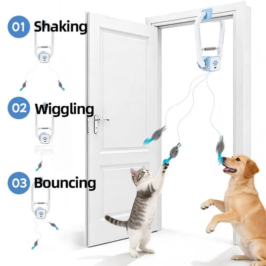 Door Hanging Teaser for Indoor Cats
