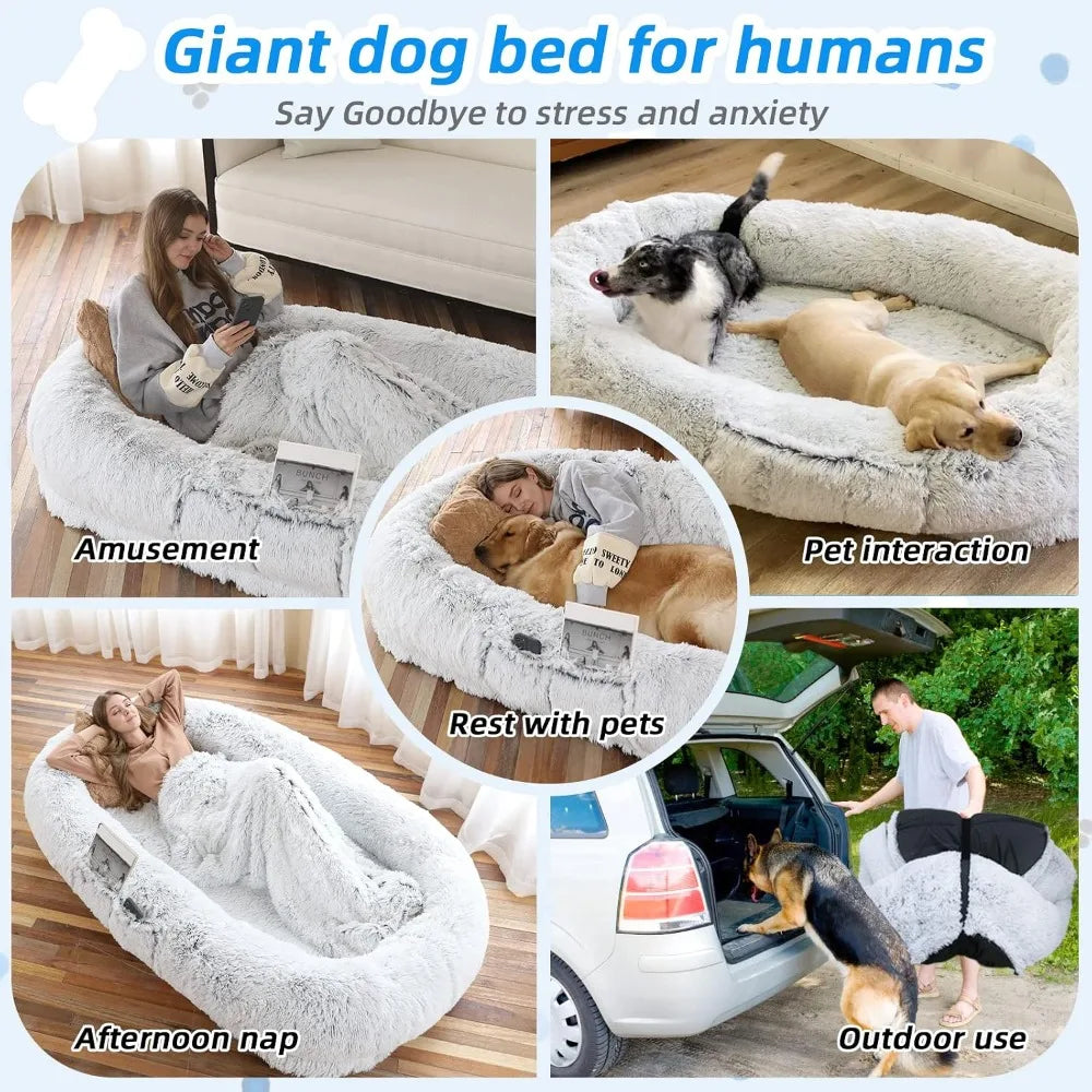 71"x45"x12" Human Dog Bed