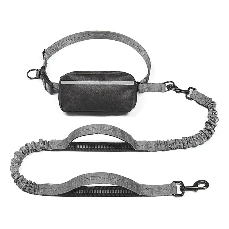 Hands Free Dog Leash