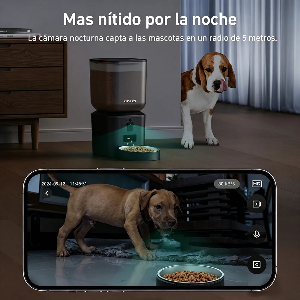 Automatic Pet Feeder