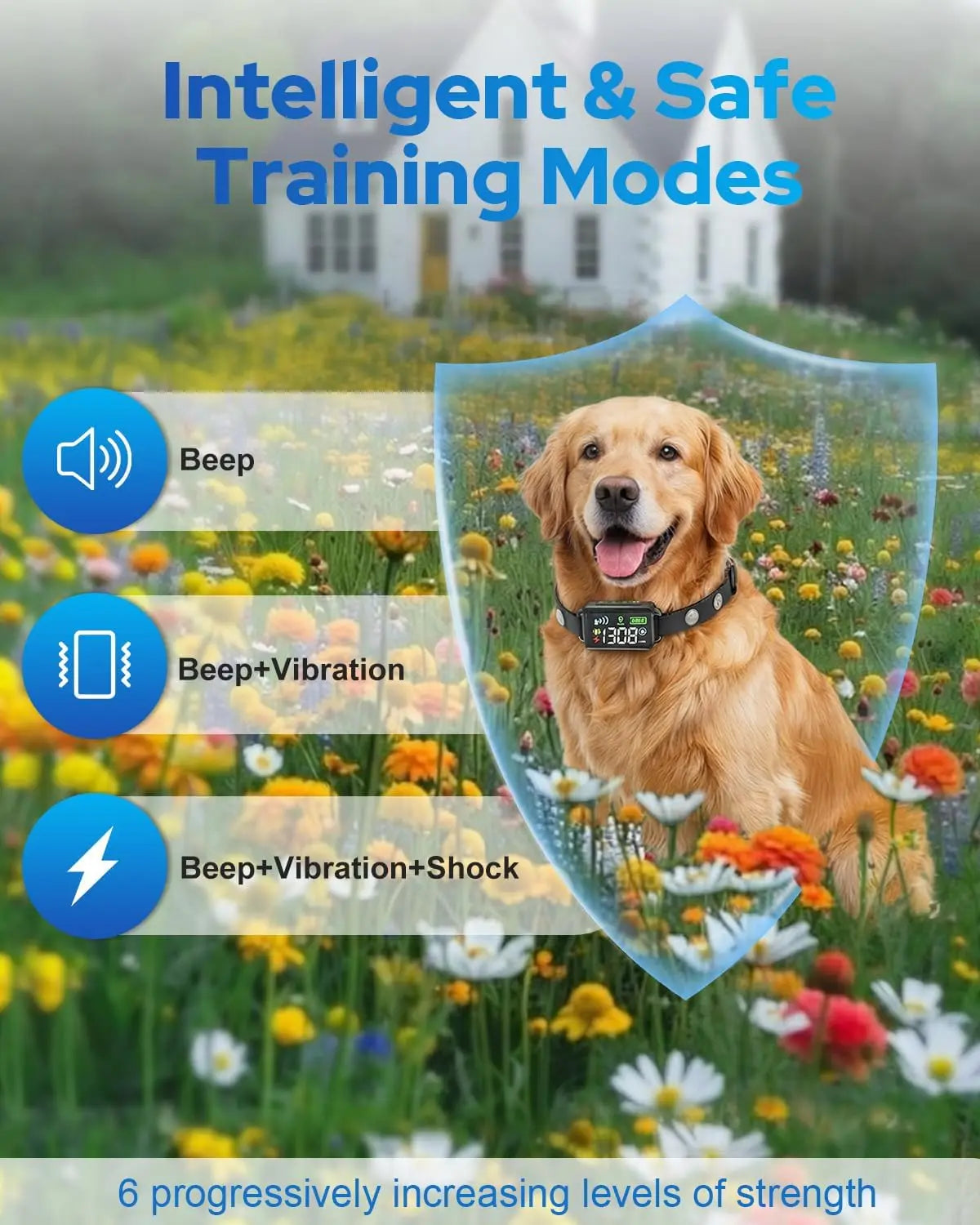 GPS Wireless Dog Fence
