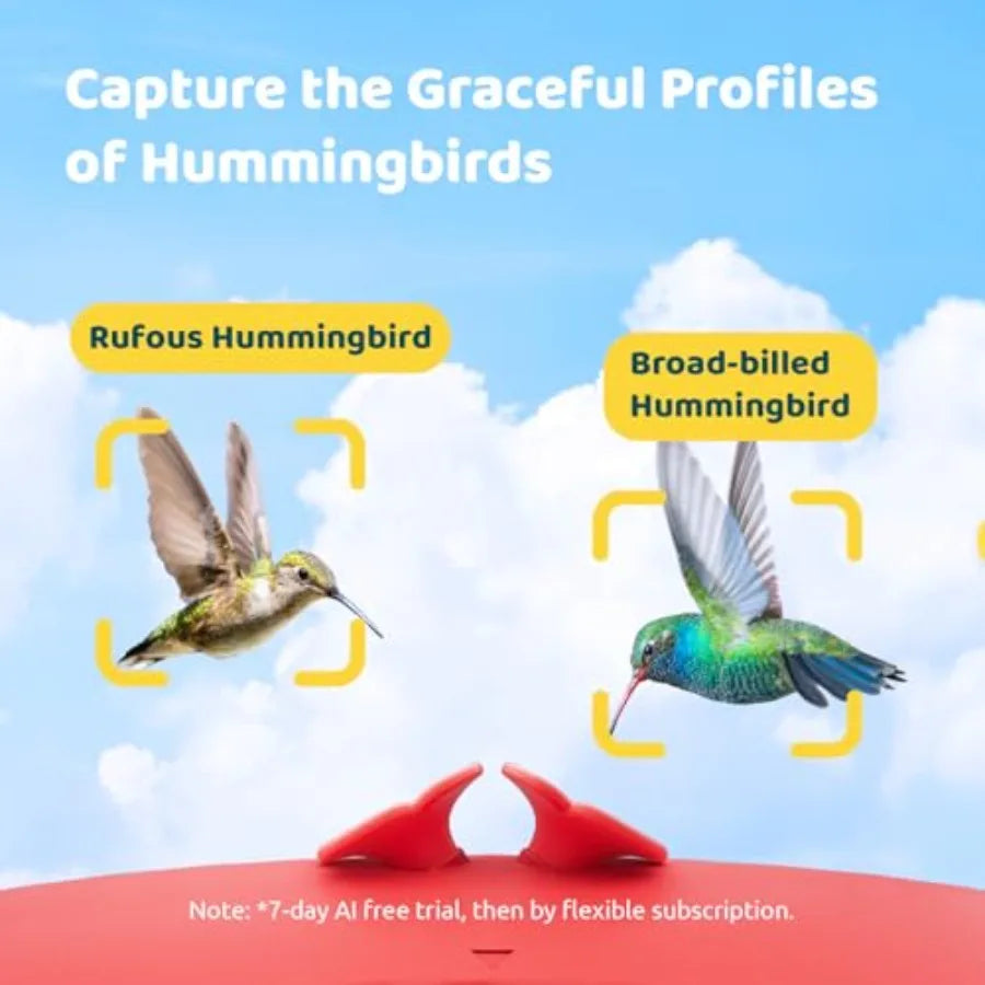 Smart Hummingbird Feeder with Camera, Auto Detect , Instant Notification, Live View