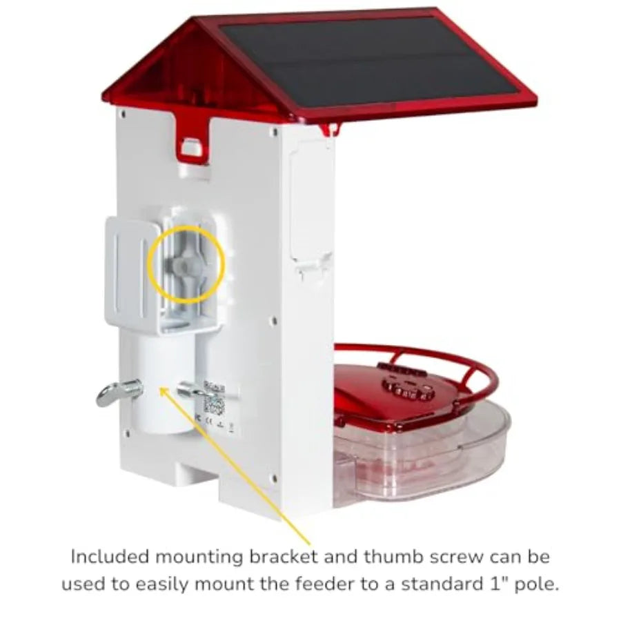 Smart 2-in-1 Hummingbird Feeder with Camera, Solar Roof, AI Bird Identification