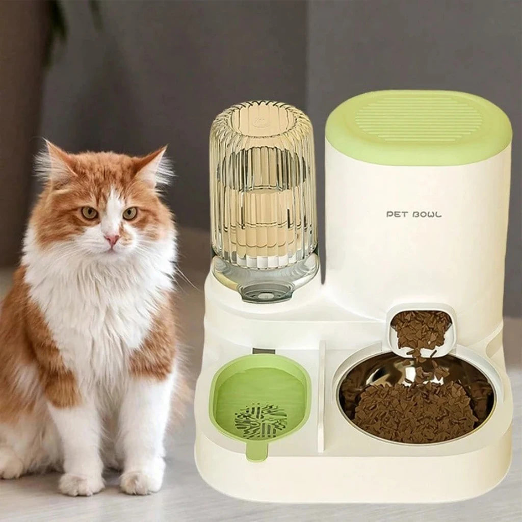 Pet Feeder and Water Dispenser
