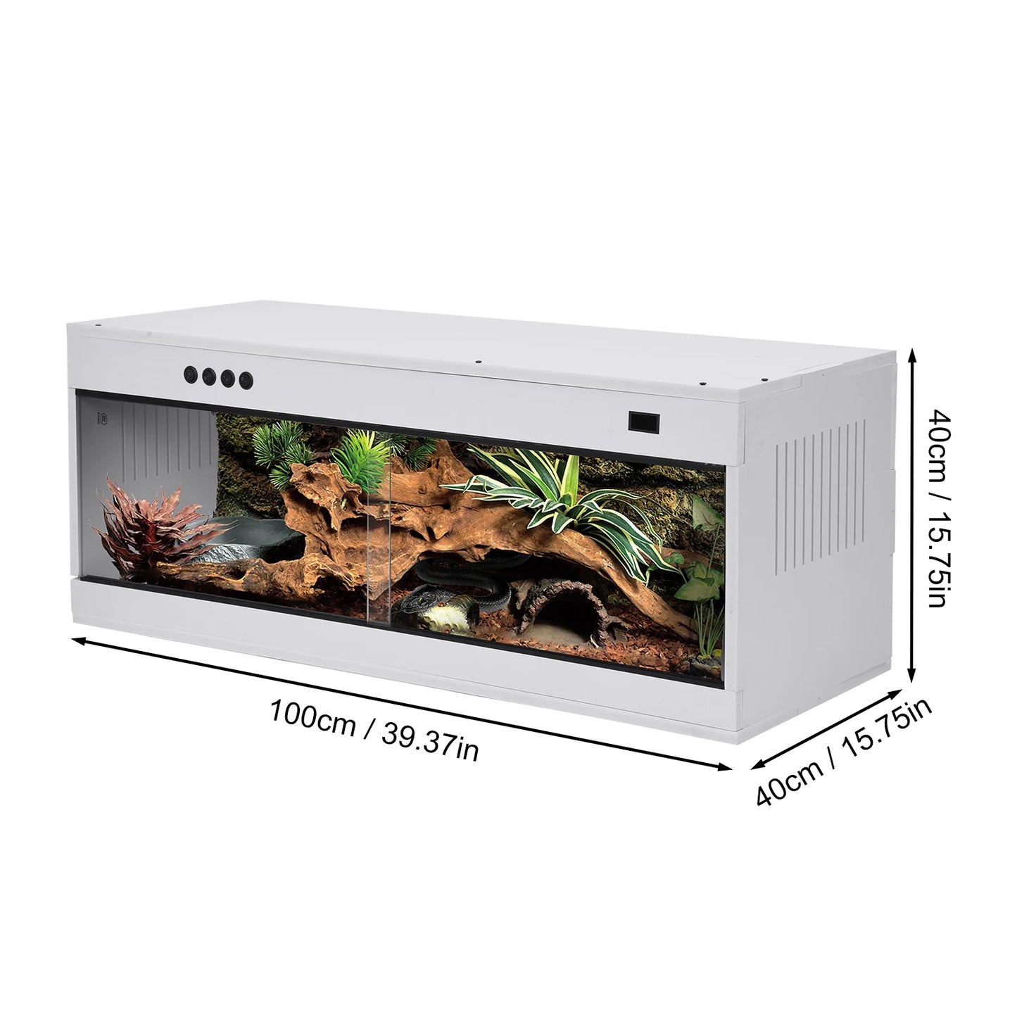 Reptile Terrarium