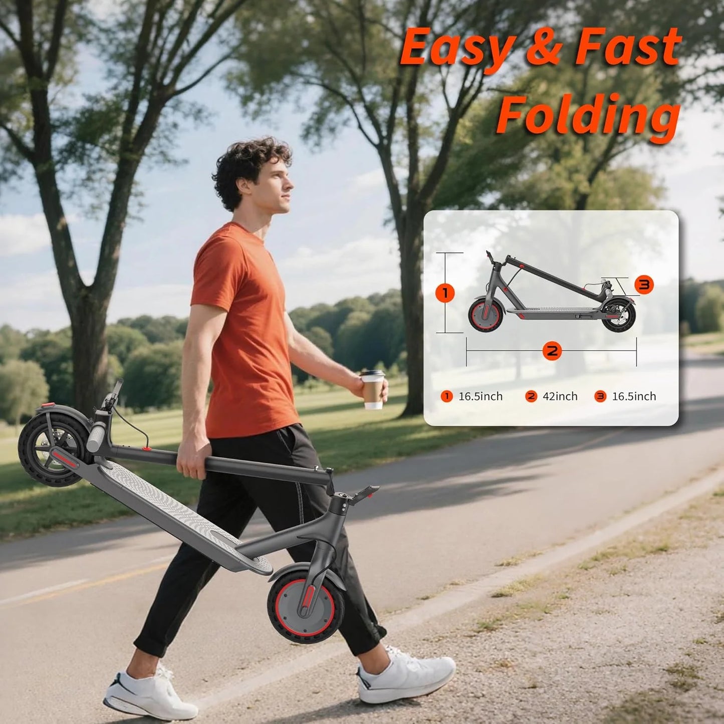 350W Electric Scooter