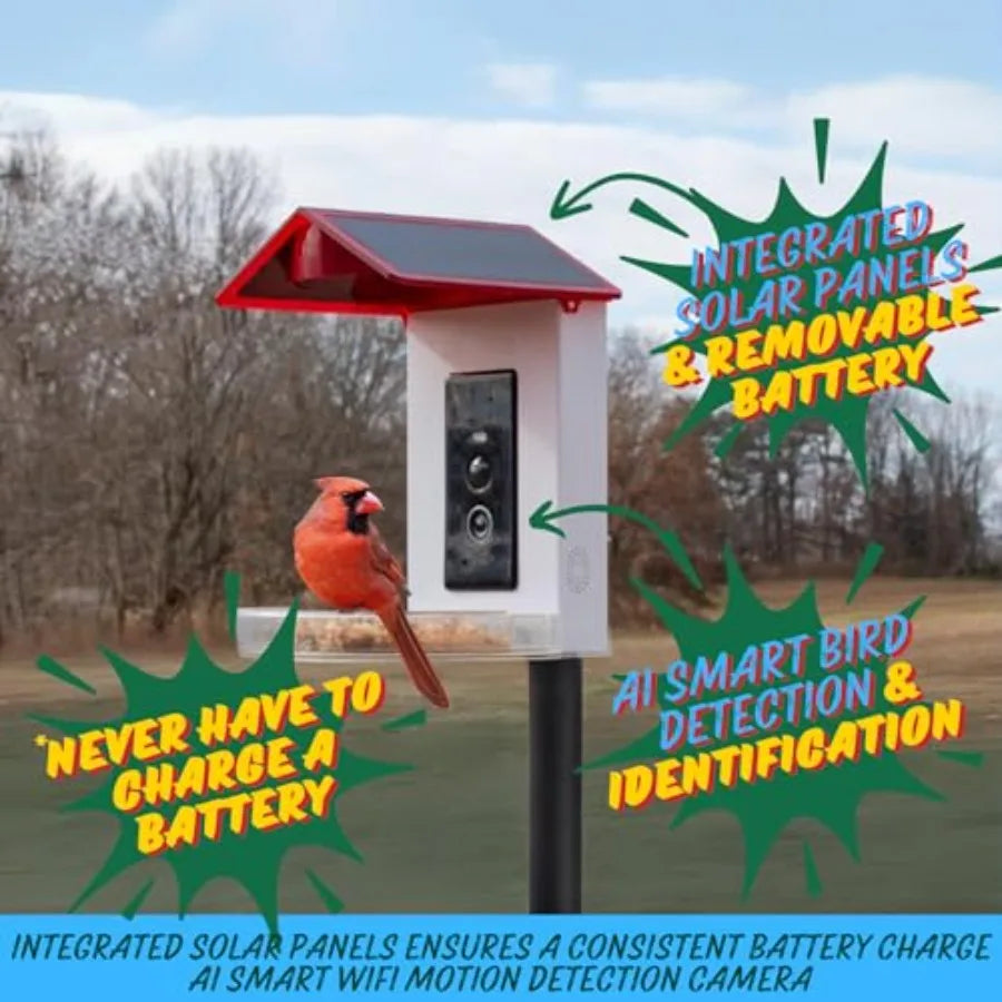 Smart 2-in-1 Hummingbird Feeder with Camera, Solar Roof, AI Bird Identification