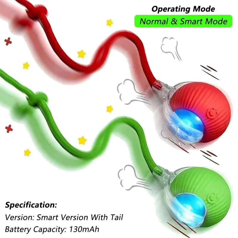 Indoor Interactive Birds Toy