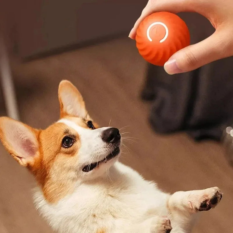 Dog Toy Ball