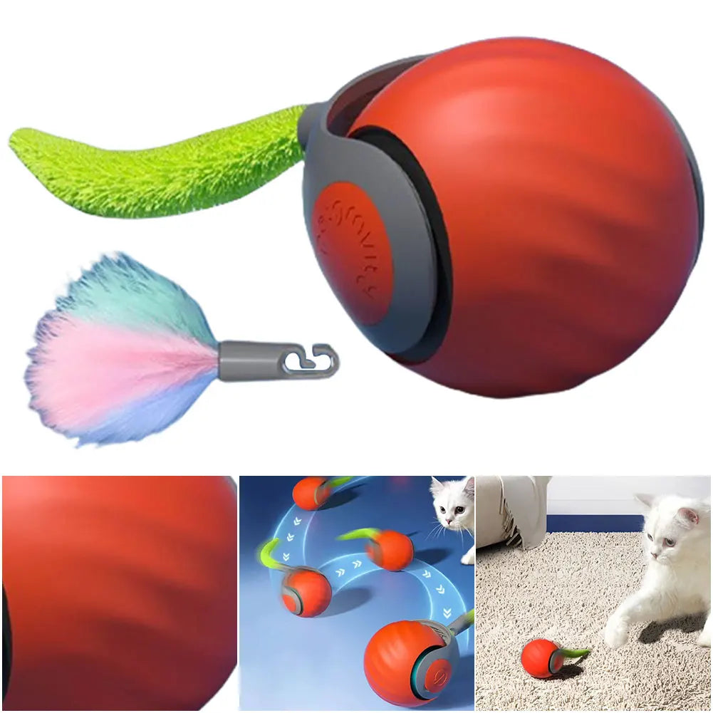 USB Rechargeable Cat Toy