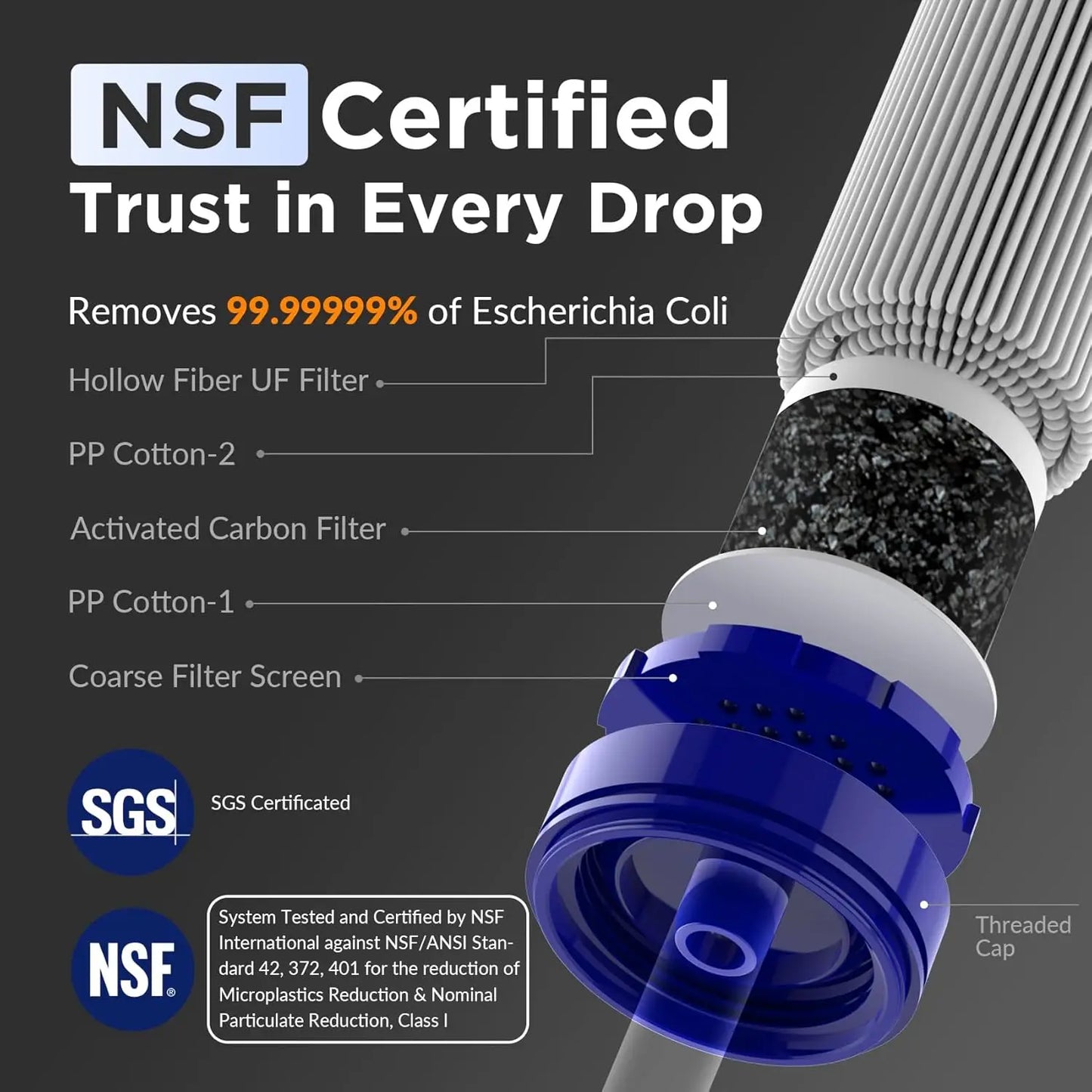 NSF Certified Water Filter Straw