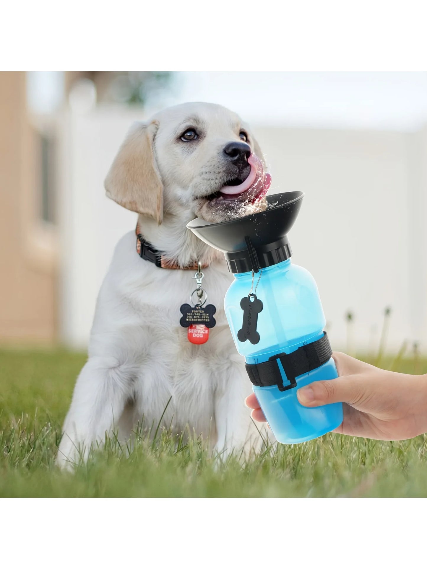 Dog  Portable Travel Water Bottle