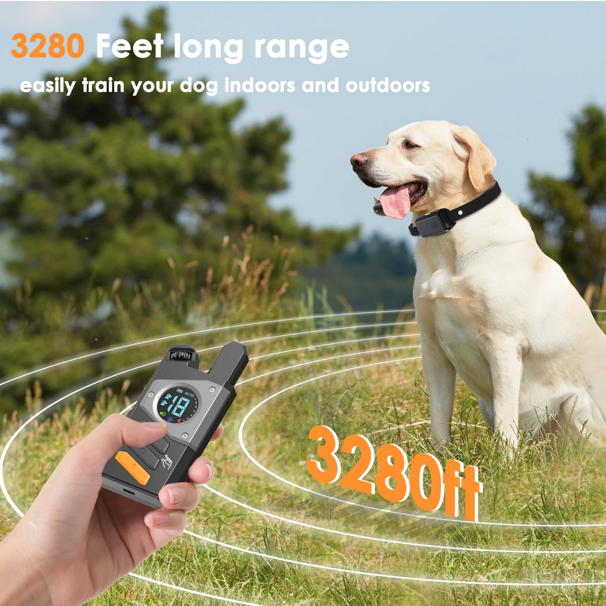 Electric Dog Training Collar with Remote