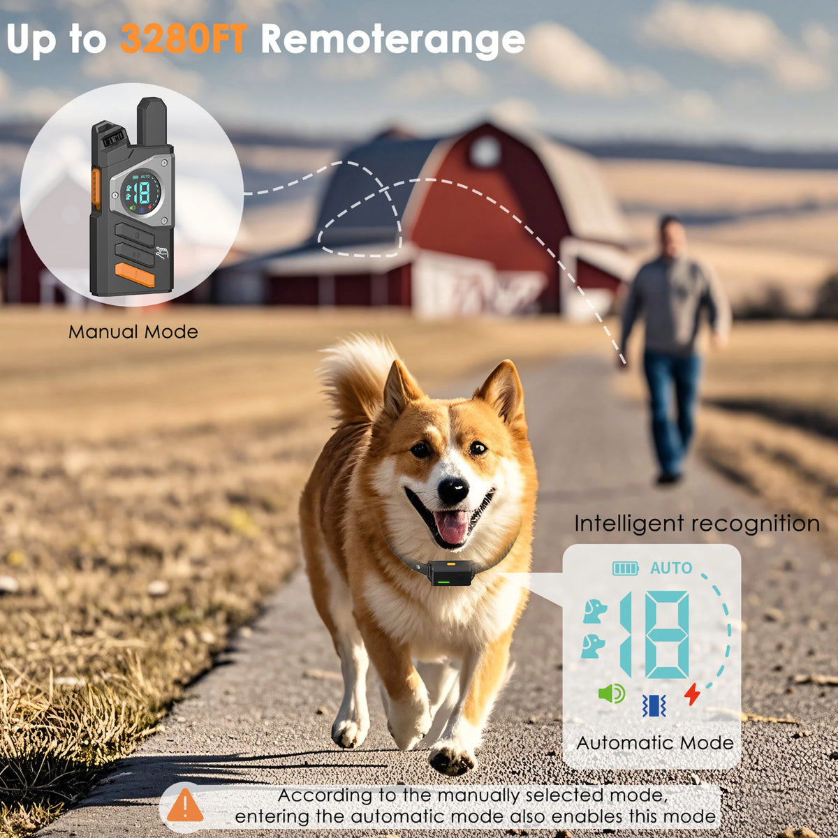 Electric Dog Training Collar with Remote