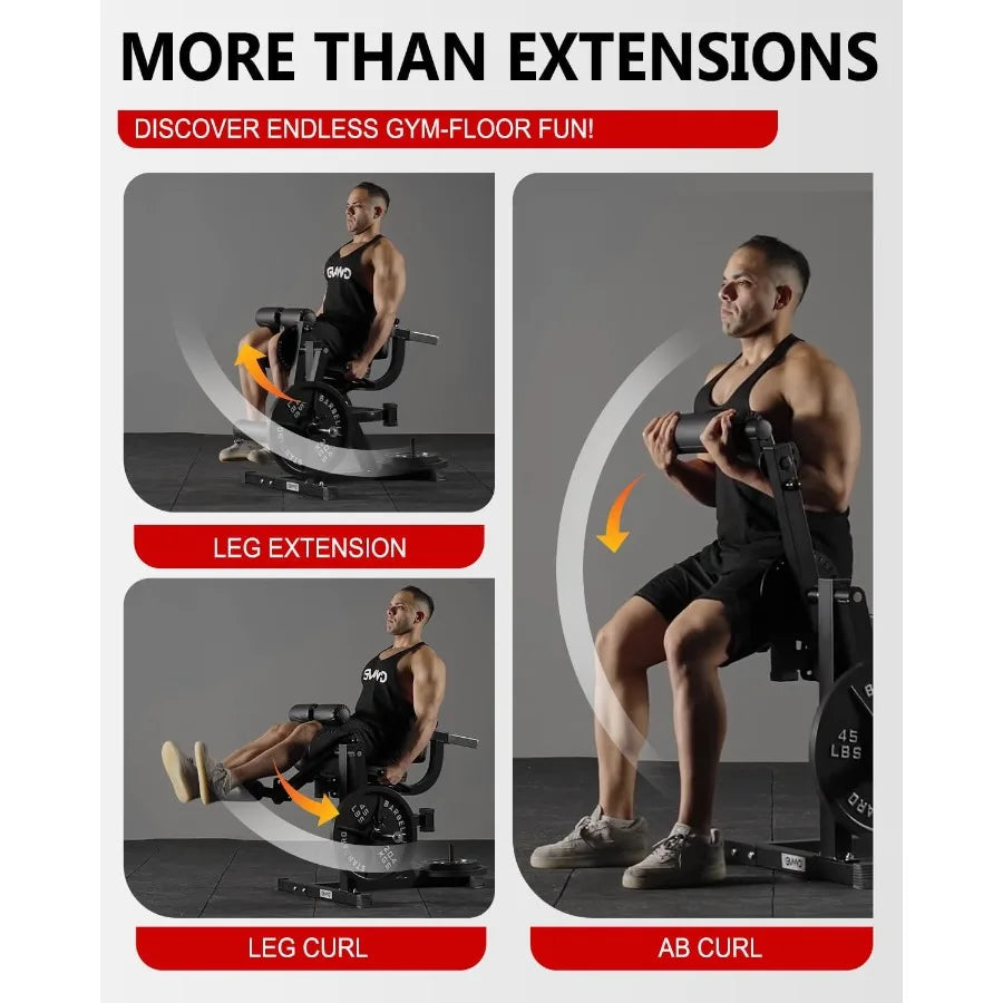 Leg Extension and Curl Machine