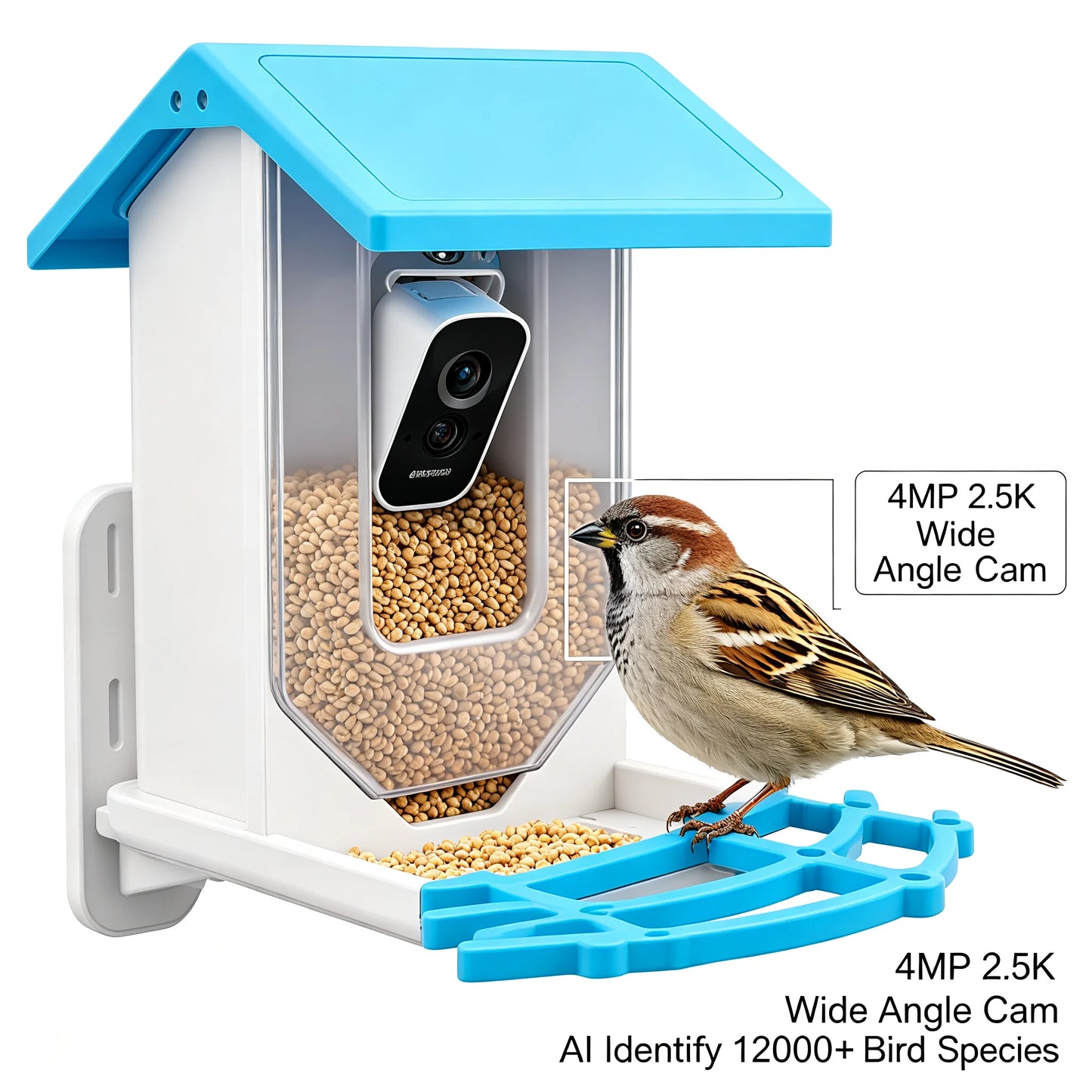 Solar Powered Bird Feeder with 2.5K HD Camera, Smart AI Bird Recognition & Night Vision, 5000mAh Battery + 3W Solar Panel, IP65 Weatherproof for Outdoor Garden