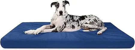 Orthopedic Rectangle Dog Bed