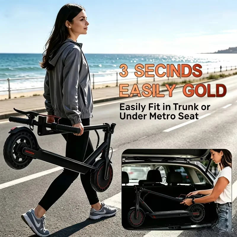 350W Electric Scooter for Adults