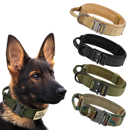 Dog Training Collar Adjustable And Leash Set