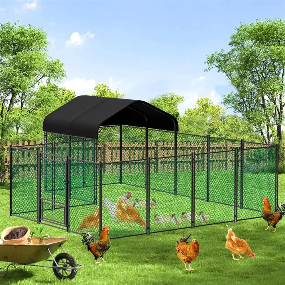 Chicken Run Coop