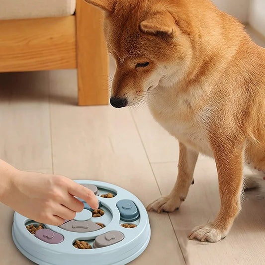 Dog Food Educational Toy