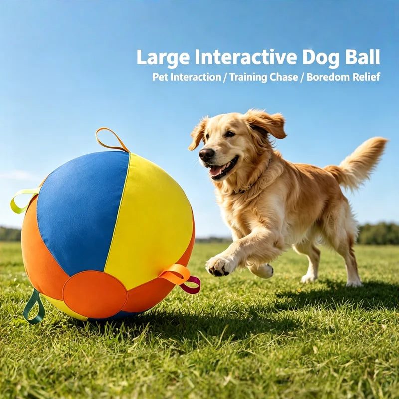 Dog Herding Ball