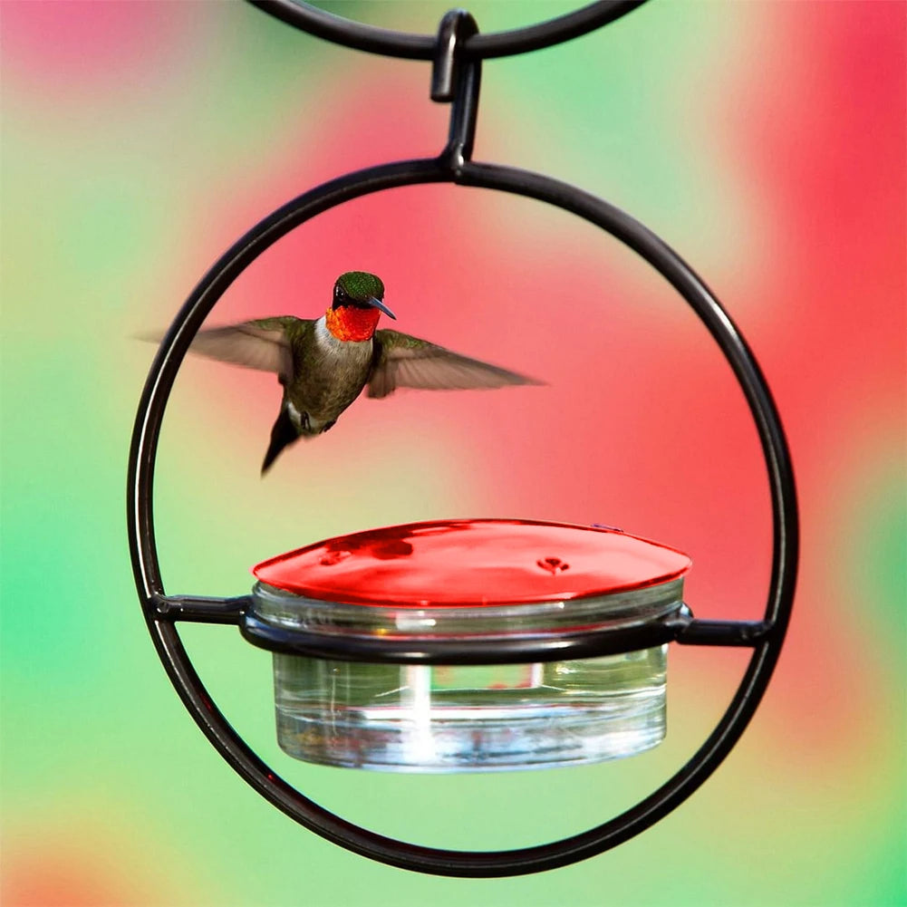 Hummingbird Feeder