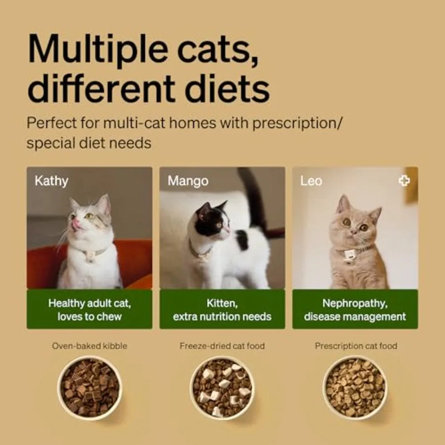 RFID Automatic Cat Feeder