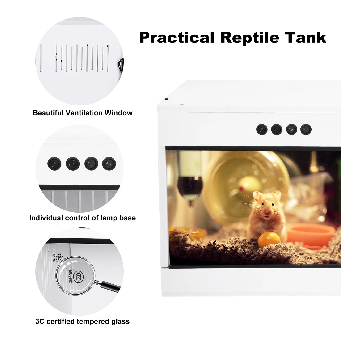 Reptile Terrarium