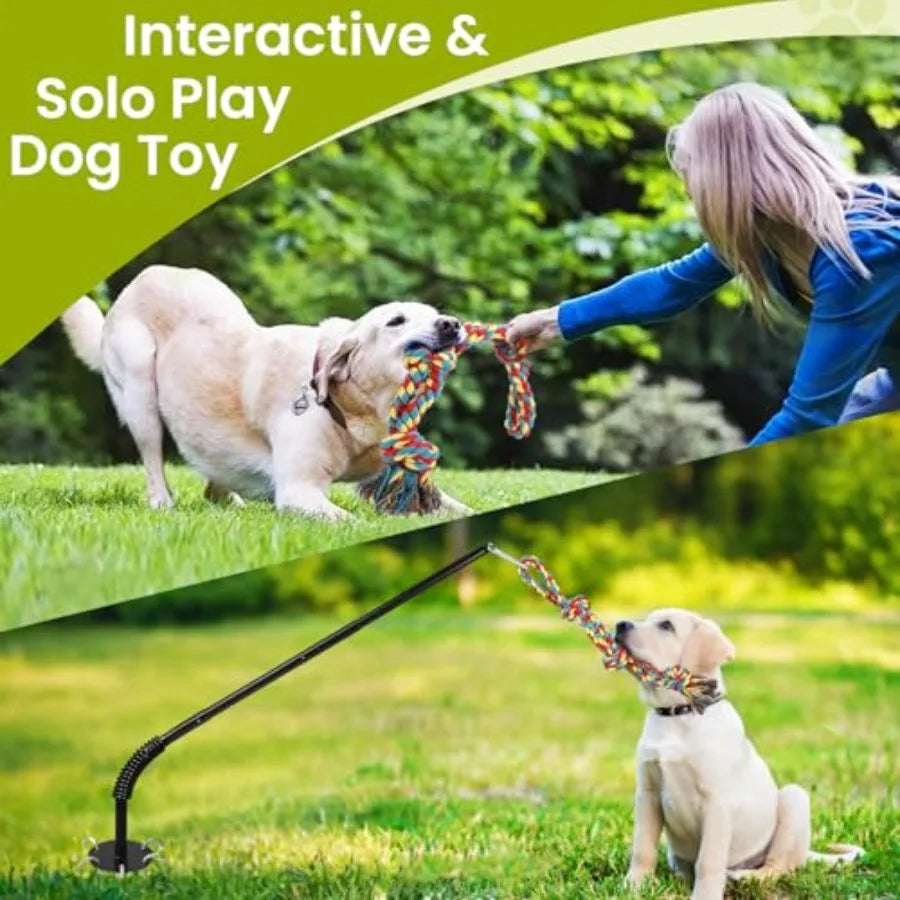 Tether Tug Outdoor Dog Toy