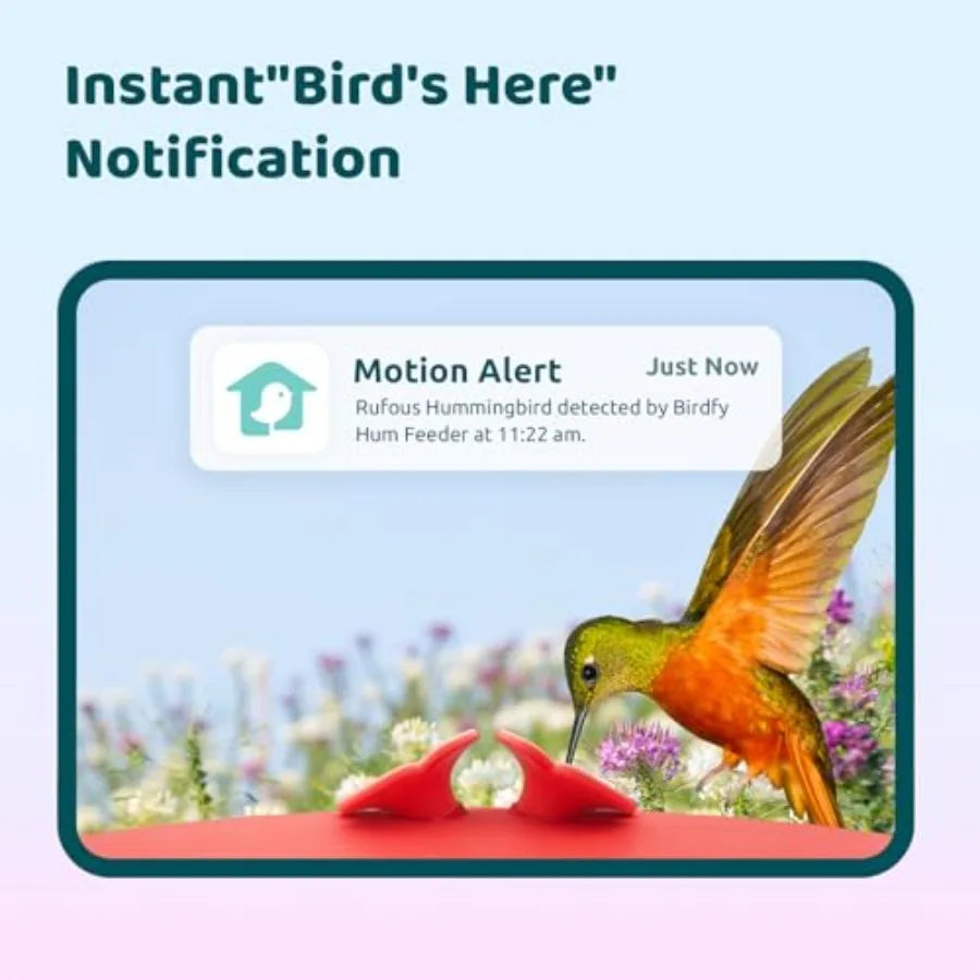 Smart Hummingbird Feeder with Camera, Auto Detect , Instant Notification, Live View