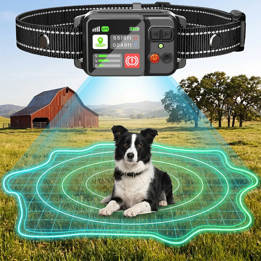 Dog Electronic Fence