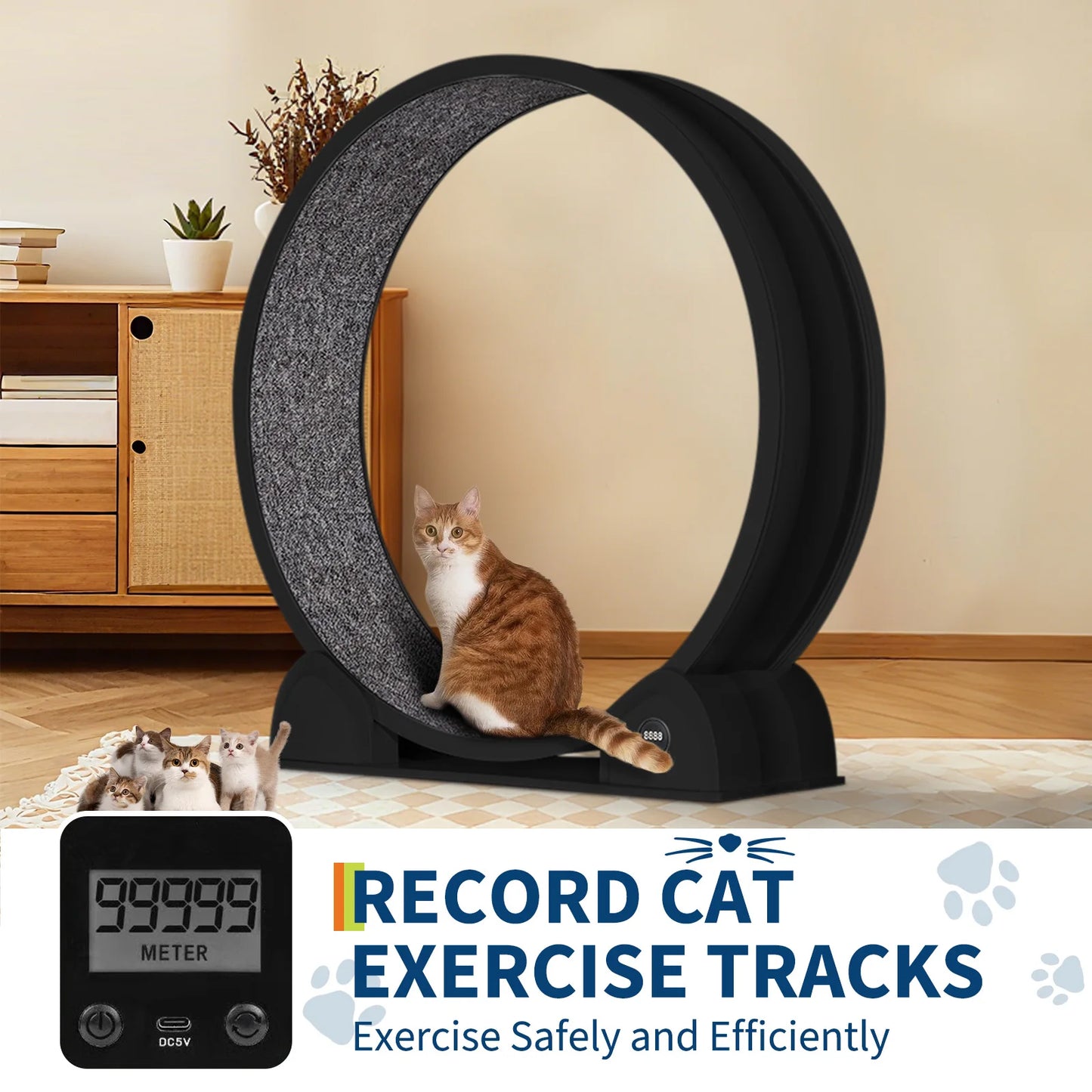 Cat Exercise Wheel