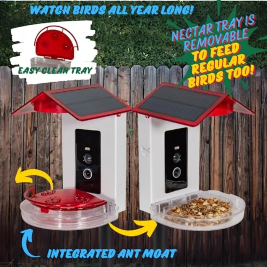 Smart 2-in-1 Hummingbird Feeder with Camera, Solar Roof, AI Bird Identification