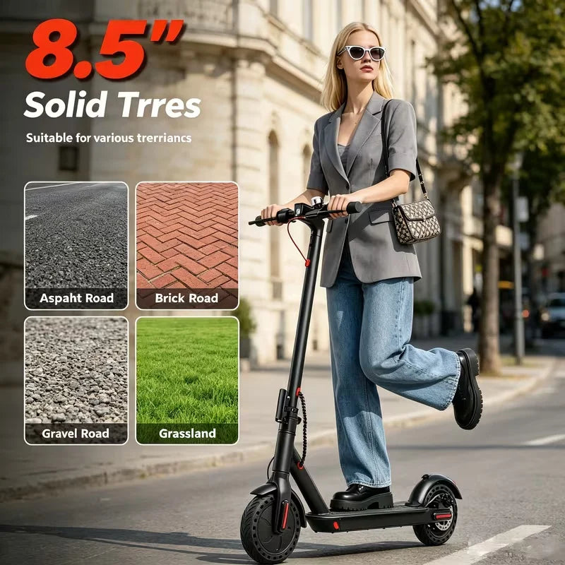 350W Electric Scooter for Adults
