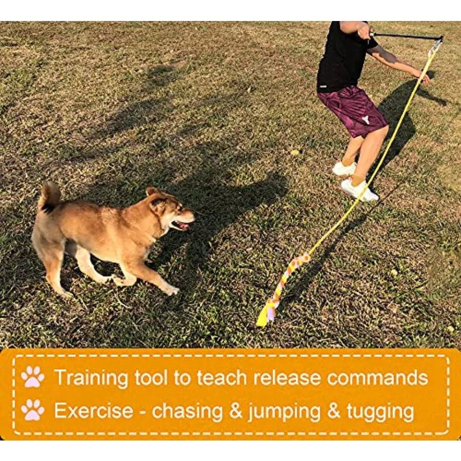 Flirt Pole Dog Toys
