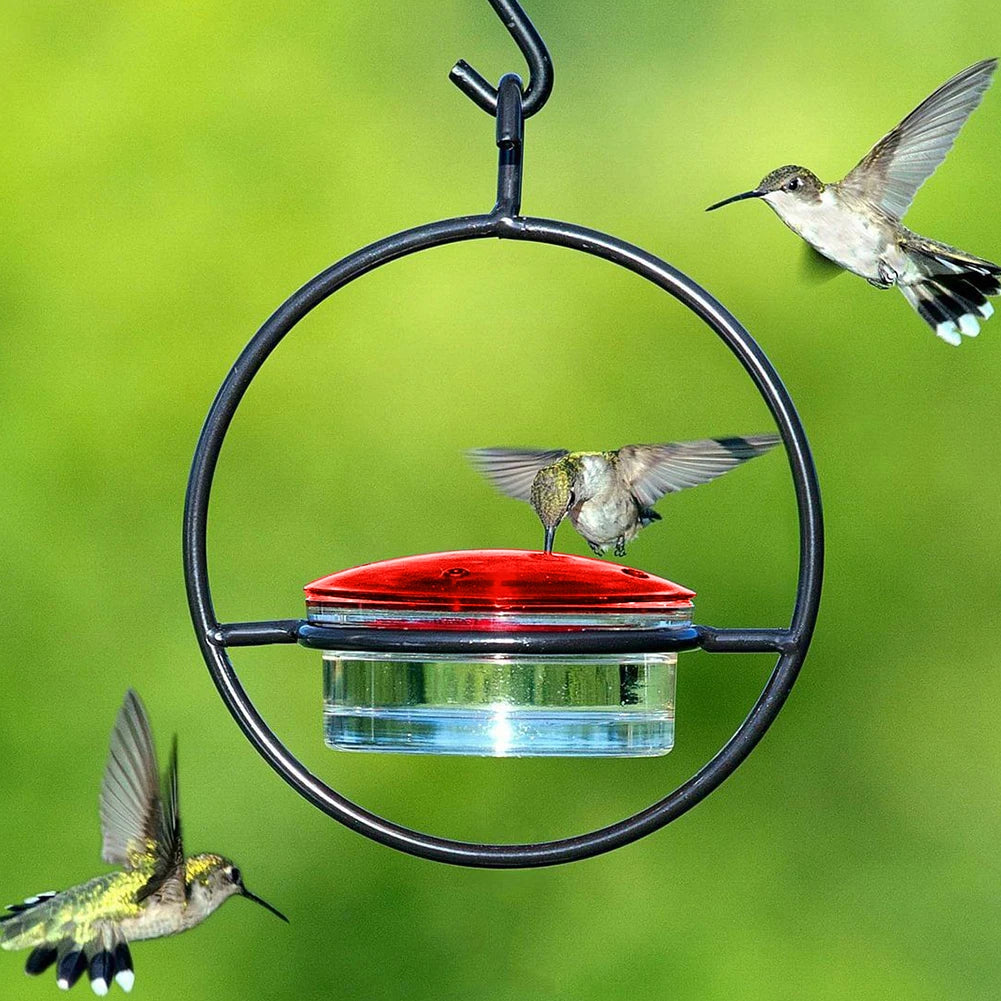 Hummingbird Feeder