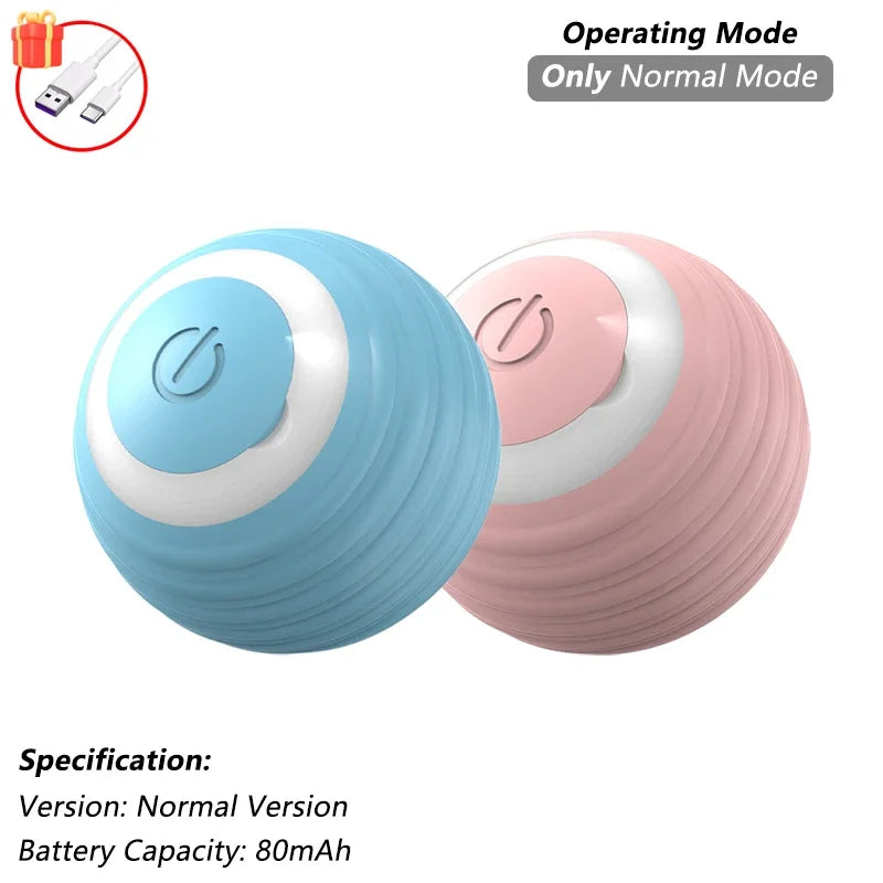 Indoor Interactive Birds Toy