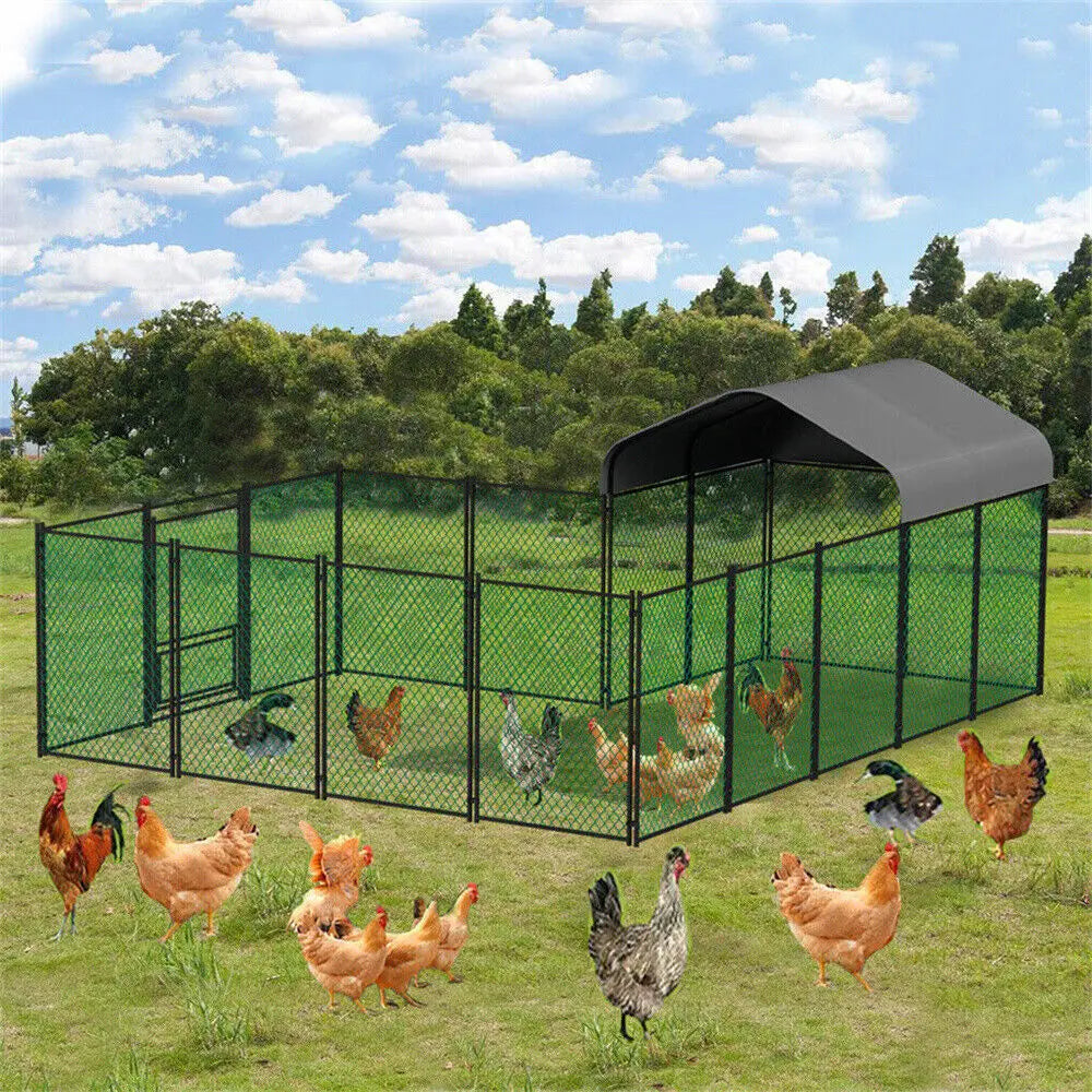 Chicken Run Coop