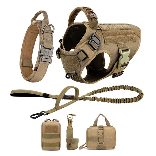 Large Dog Harness And Leash Set