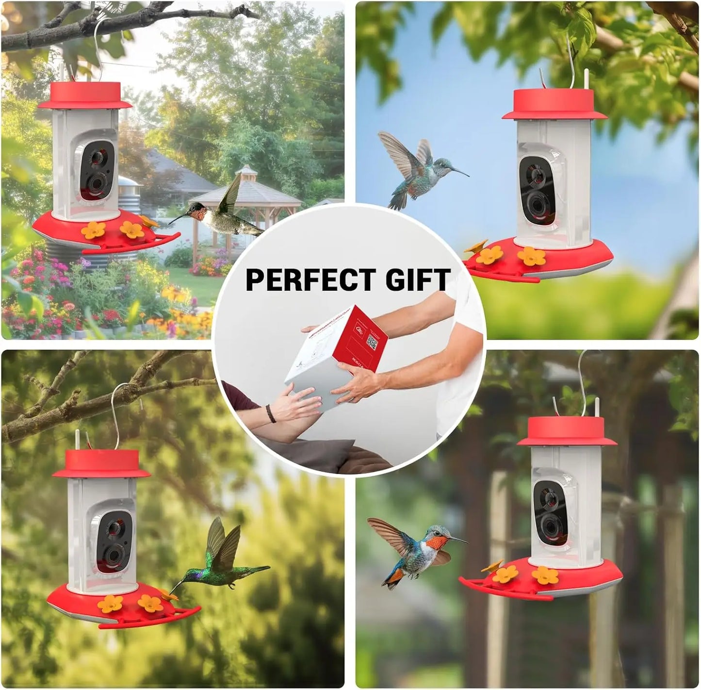 Hummingbird Feeder with Camera
