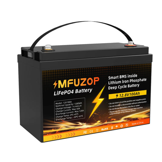 12V 100Ah LiFePO4 Battery