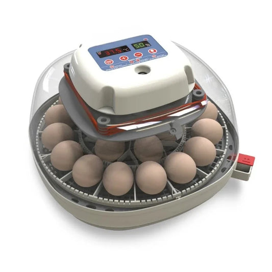 Egg Incubator for Hatching Chicks