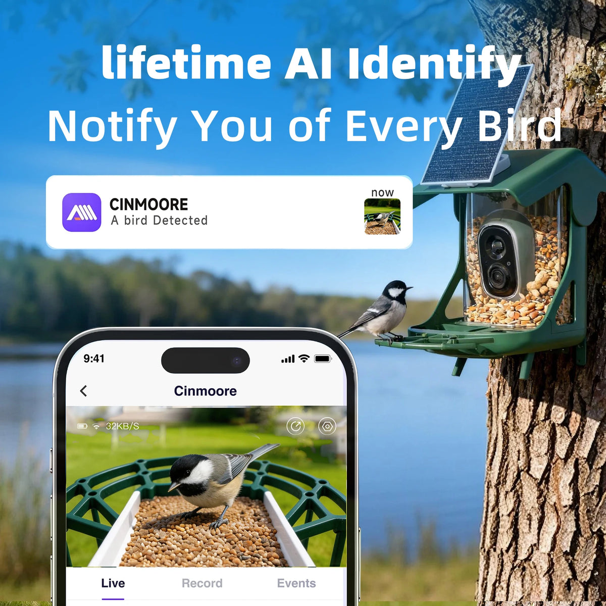 Solar Powered Bird Feeder with Camera